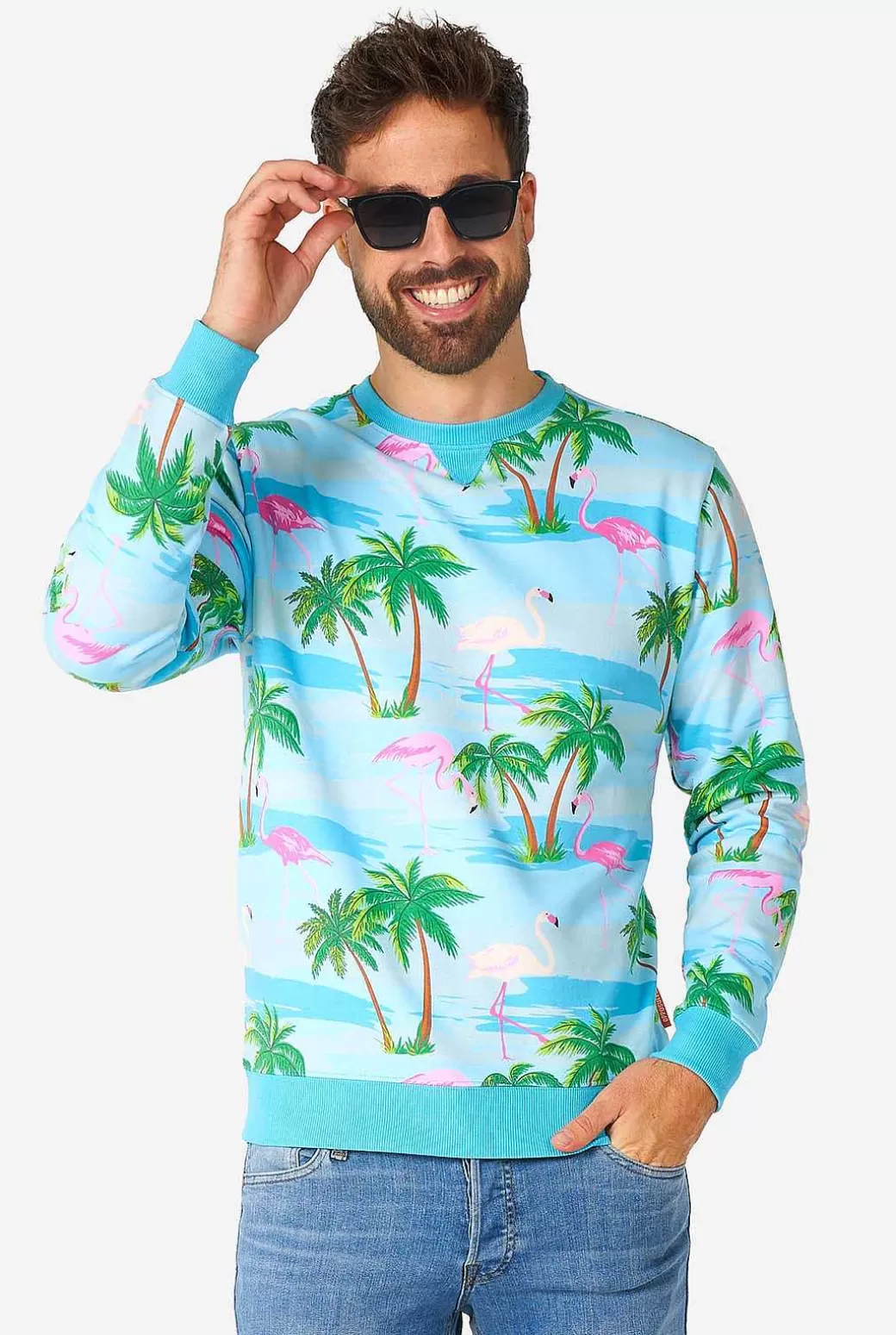 OppoSuits Carnavals Sweaters^Flaminguy