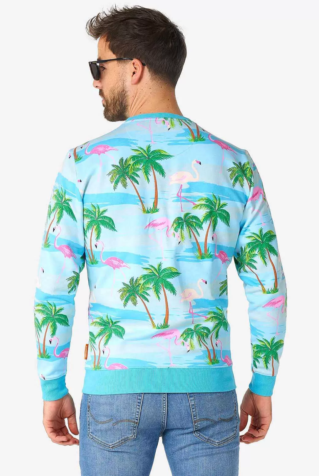 OppoSuits Carnavals Sweaters^Flaminguy