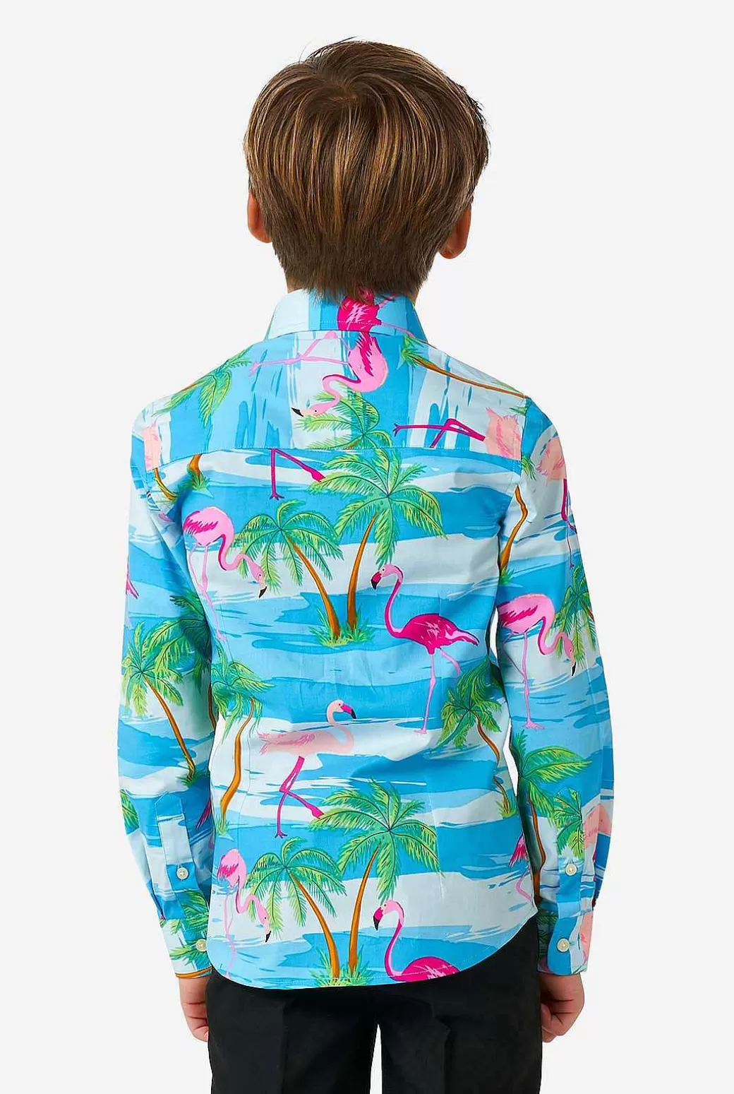 OppoSuits Casual Overhemden^Flaminguy